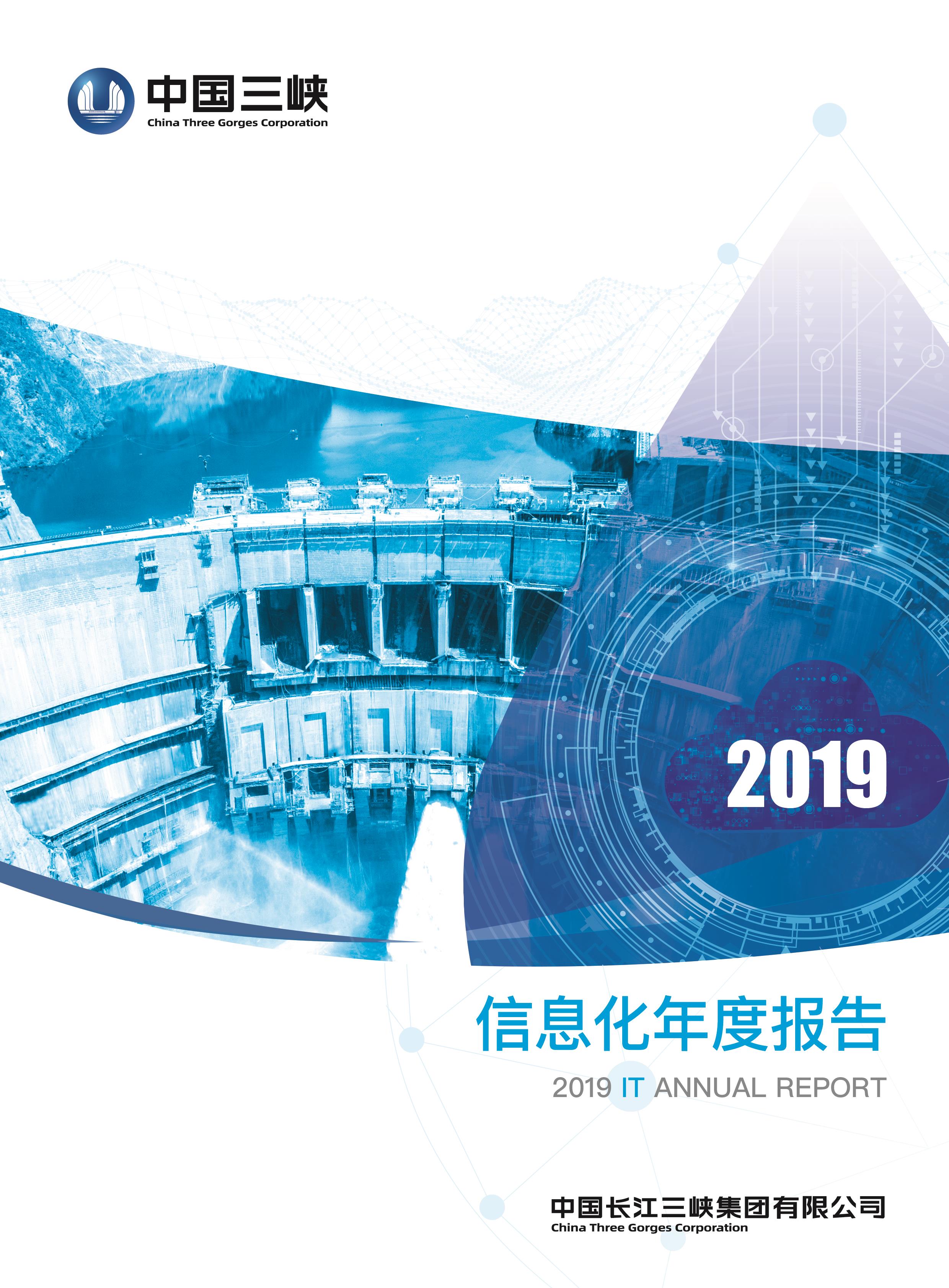 集团公司IT年度报告2019