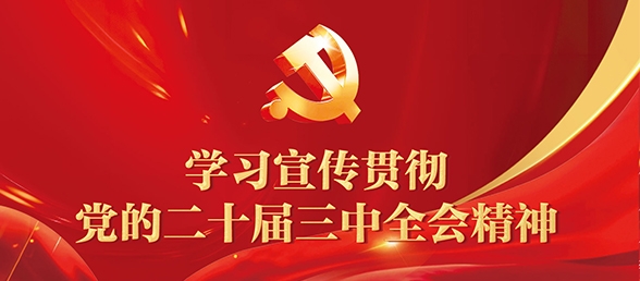 学习宣传贯彻党的二十届三中全会精神